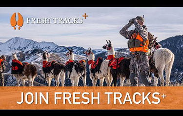 freshtracks